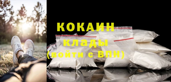 спайс Няндома