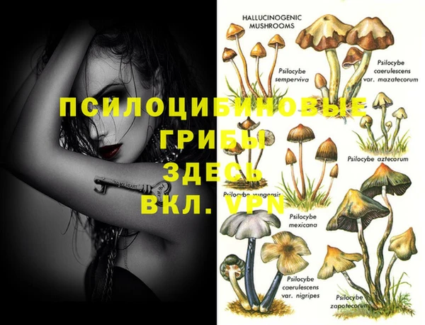 метадон Нягань