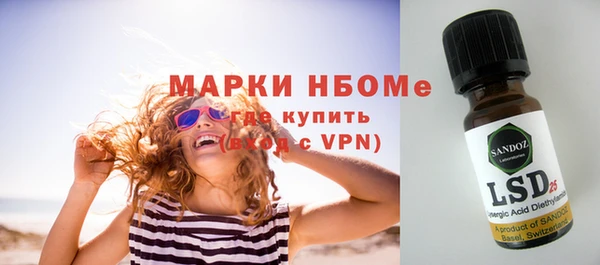 спайс Няндома