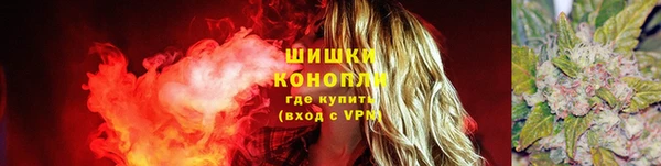 спайс Няндома