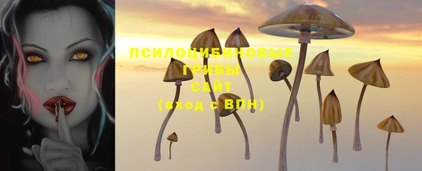 твердый Новокубанск