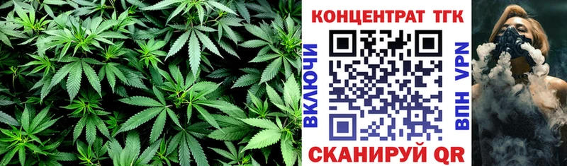 ТГК жижа  закладка  Неман 