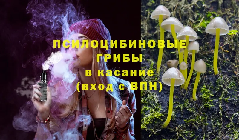 Псилоцибиновые грибы Psilocybe  ссылка на мегу ONION  Неман 